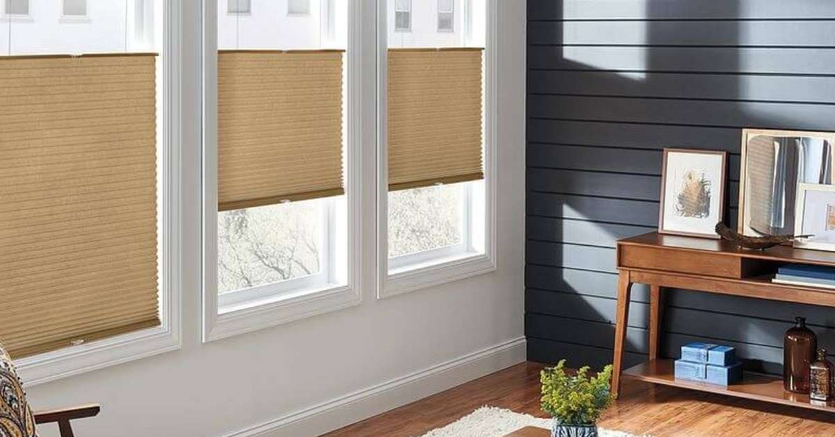 This is a picture of a Graber cellular shades with natural light